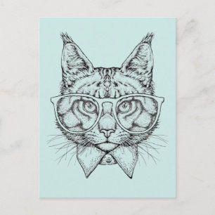 Maine Coon Portrait Postkarte