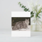Maine Coon Postkarte (Stehend Vorderseite)
