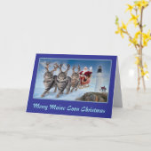 Maine Coon Rentier Faltenkarte Karte (Gelbe Blume)