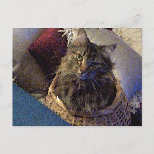 Maine Coon Tabby Cat Postkarte (Vorderseite)