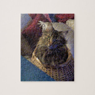 Maine Coon Tabby Cat Puzzle