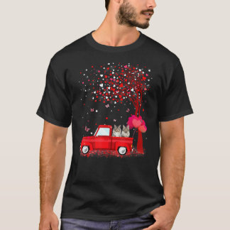 Maine Coon Valentine's Day S Cats Red Truck Herz T-Shirt