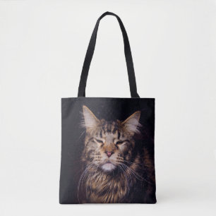 Maine Coon vor schwarzem Hintergrund Jungtier,Tier Tasche
