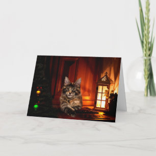 Maine Coon Weihnachten