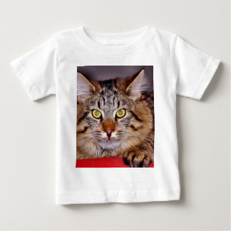 Maine-Coone Katze Baby T-shirt
