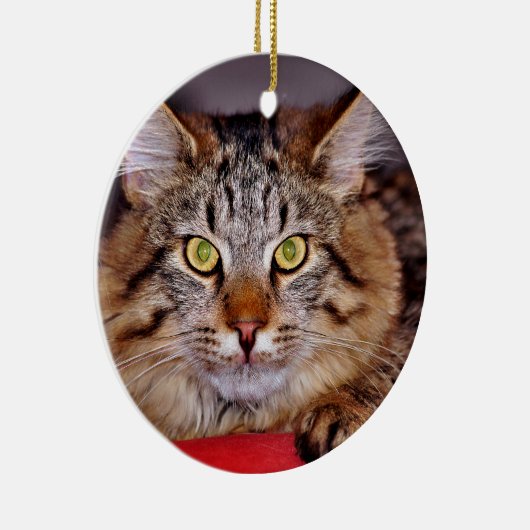 Maine-Coone Katze Keramikornament (Rechts)