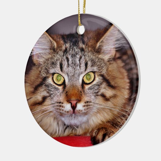 Maine-Coone Katze Keramikornament (Links)