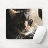 Maine Coons Gesicht Mousepad (Mit Mouse)