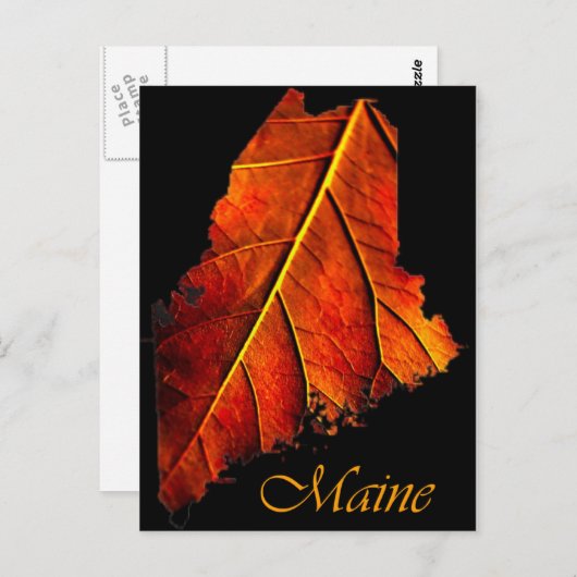 Maine Fall Foto Foliage | Mainstream Herbstblätter Postkarte (Vorne/Hinten)