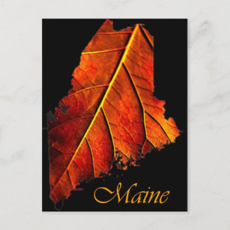 Maine Fall Foto Foliage | Mainstream Herbstblätter Postkarte