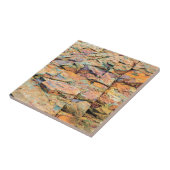 Maine-Felsen - farbenfrohe Natur Fliese (Seite)