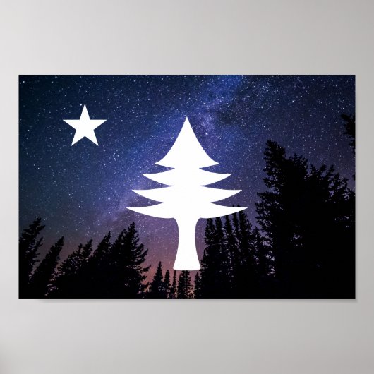 Maine-Flag 1901 - Starry Night Edition Poster (Vorne)