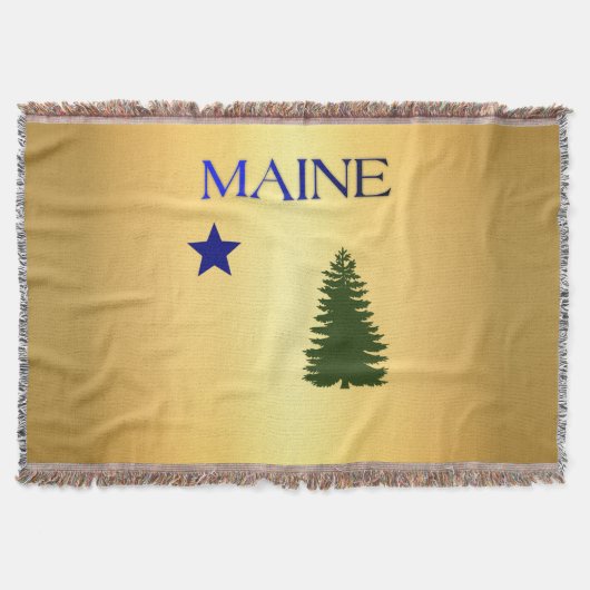 Maine-Flagge 1901 Decke (Vorderseite)