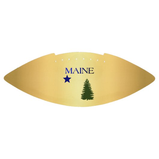 Maine-Flagge(1901) Football (Panel)