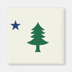 Maine-Flagge 1901 Magnet