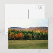 Maine Foliage Postkarte (Vorne/Hinten)