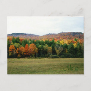 Maine Foliage Postkarte