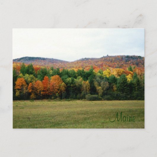 Maine Foliage Postkarte (Vorderseite)
