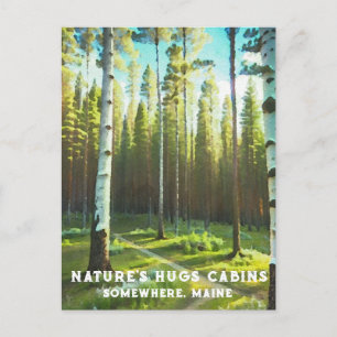 *~* Maine Forest Birch Evergreens AP49 Postkarte