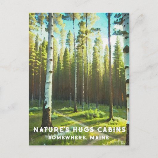 *~* Maine Forest Birch Evergreens AP49 Postkarte (Vorderseite)