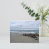 Maine Geschenke Postkarte (Stehend Vorderseite)