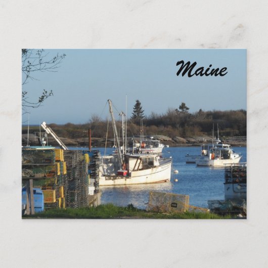 Maine Harbor Postkarte (Vorderseite)