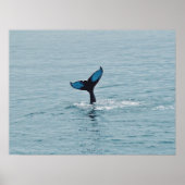 Maine Humpback Whale Schwanz Poster (Vorne)