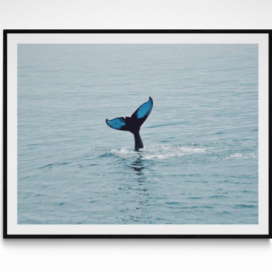 Maine Humpback Whale Schwanz Poster