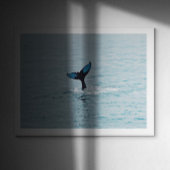 Maine Humpback Whale Schwanz Poster