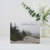 Maine Küstenlinie Postkarte (Stehend Vorderseite)