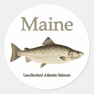 Maine Lachs Runder Aufkleber