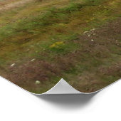 Maine Landschaft Poster (Ecke)