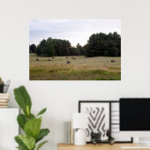 Maine Landschaft Poster (Heimbüro)