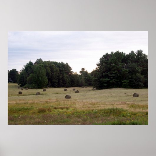 Maine Landschaft Poster (Vorne)