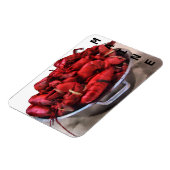 Maine LGeburters Magnet (Linke Seite)