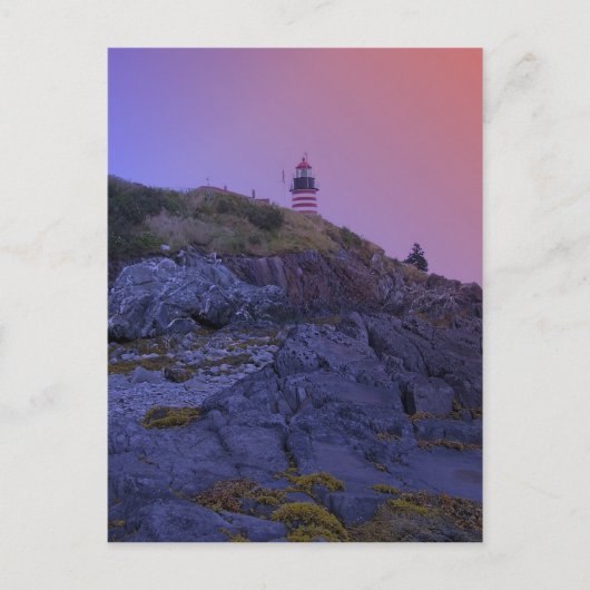 Maine Lighthouse 32 Postkarte (Vorderseite)