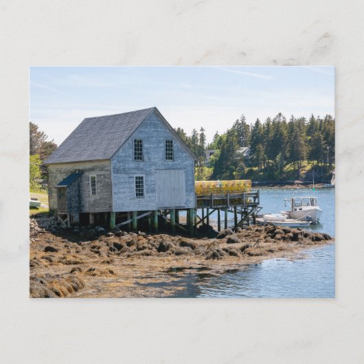 Maine Lobster Village Postkarte (Vorderseite)