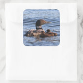 Maine Loon Stickers (Tasche)