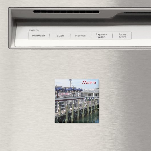 Maine Magnet (In Situ (Geschirrspüler))