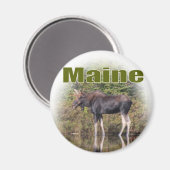 Maine Moose Magnet (Vorderseite/Rückseite)