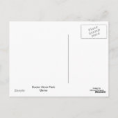 Maine Moose Postkarte (Rückseite)