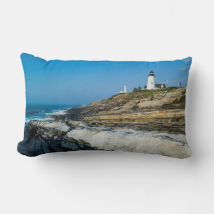 Maine, Pemaquid Point, Pemaquid Point Lighthouse Lendenkissen