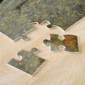 Maine Pine Boulders Acadia Foto Puzzle (Seite)