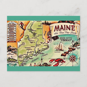 Maine - Pine Tree State Postkarte