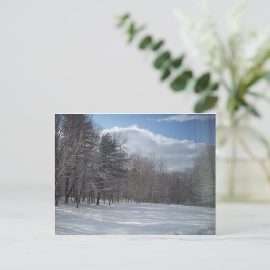 Maine Postkarte (Stehend Vorderseite)