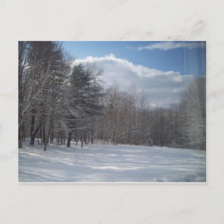 Maine Postkarte