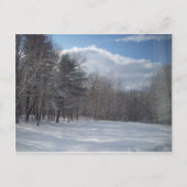 Maine Postkarte (Vorderseite)