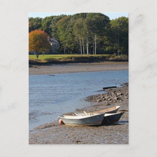 Maine Rowboats Water Foto Postkarte (Vorderseite)