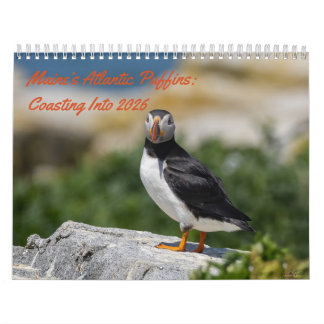 Maine’s Atlantic Puffins: Coasting Into 2026 Kalender