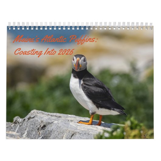 Maine’s Atlantic Puffins: Coasting Into 2026 Kalender (Titelbild)